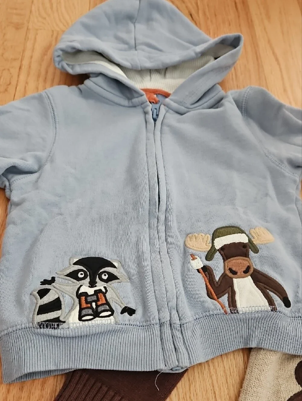 Gymboree Kids Blue Hooded Jacket & Beige Bear Sweater Set